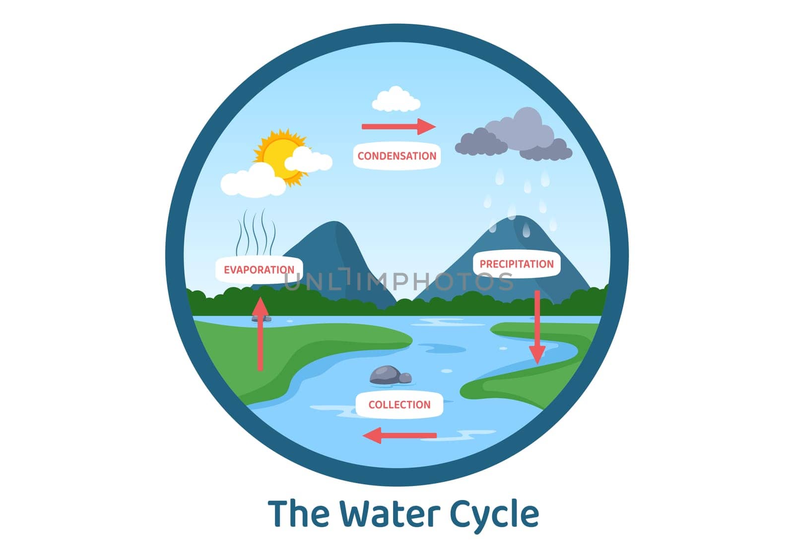 Water Cycle of Evaporation, Condensation, Precipitation to Collection in Earth natural environment on Flat Cartoon Hand Drawn Template Illustration