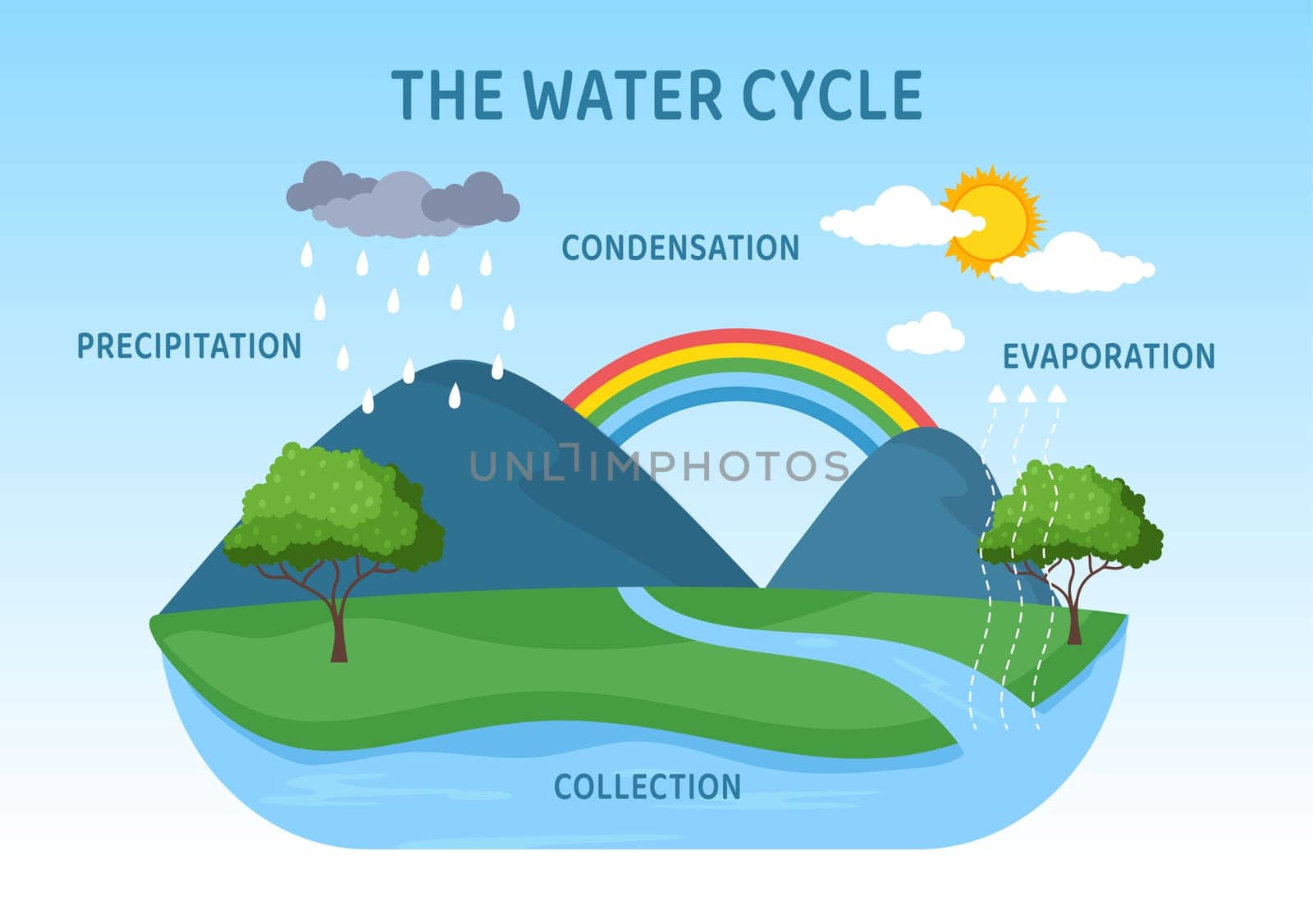 Water Cycle of Evaporation, Condensation, Precipitation to Collection in Earth natural environment on Flat Cartoon Hand Drawn Template Illustration