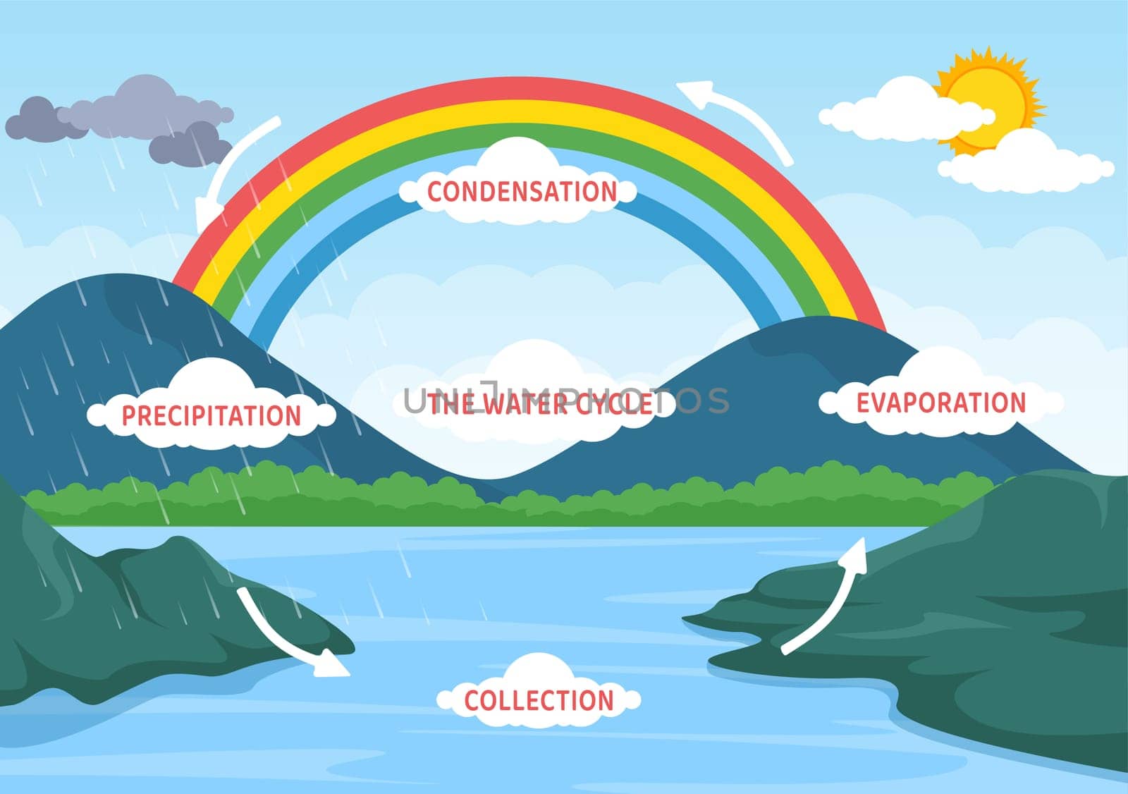 Water Cycle of Evaporation, Condensation, Precipitation to Collection in Earth natural environment on Flat Cartoon Hand Drawn Template Illustration