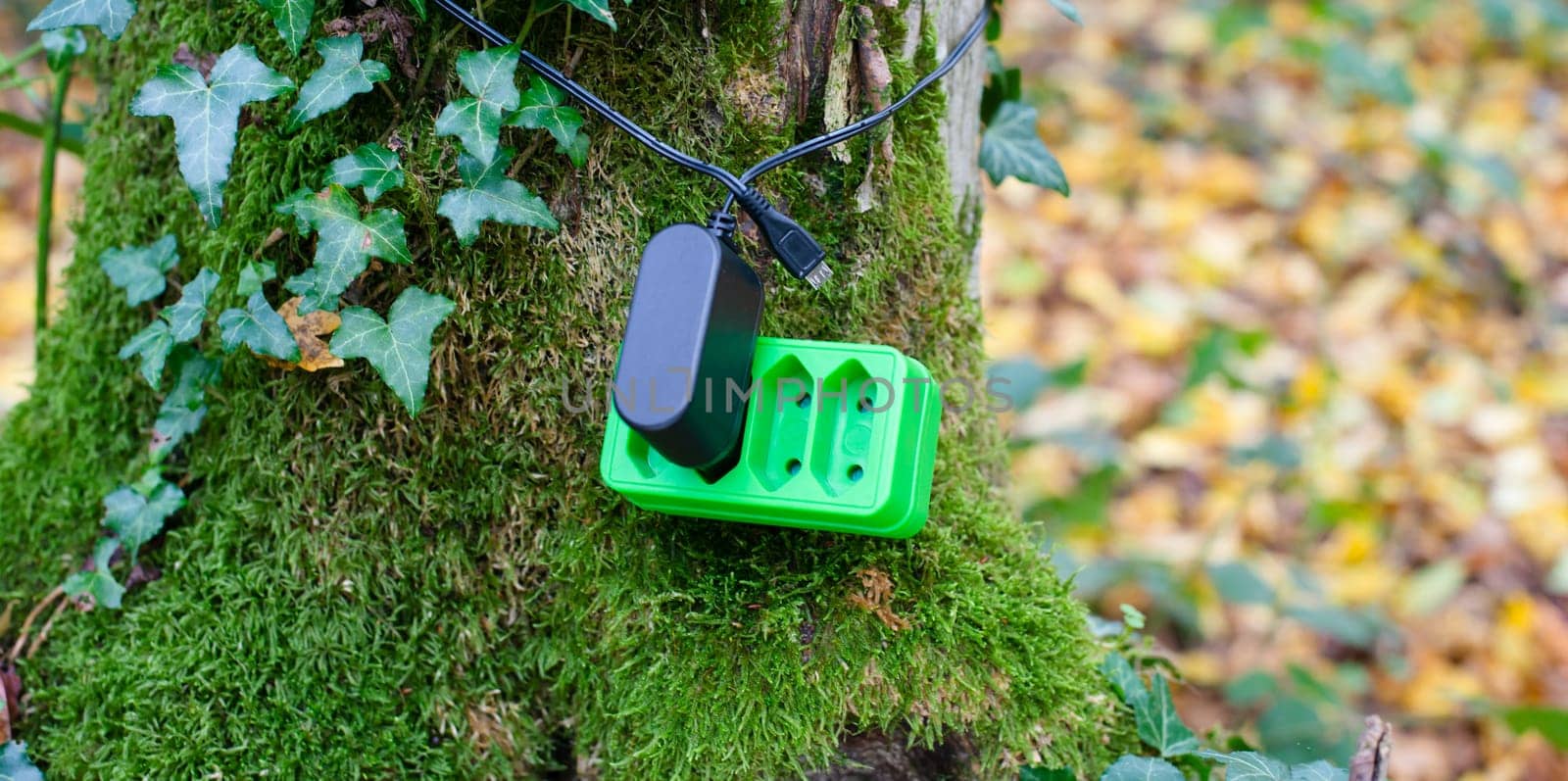 Green electricity socket on a tree trunk, substainable renewable energy, csr concept, environment protection, eco technology