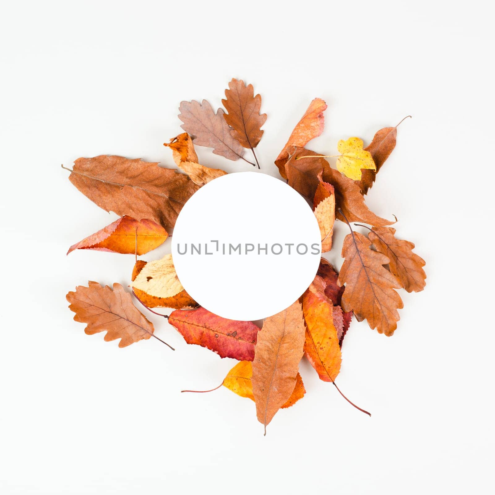 Autumn season background, frame with colorful foliage, brown, red and yellow leaves, greeting card