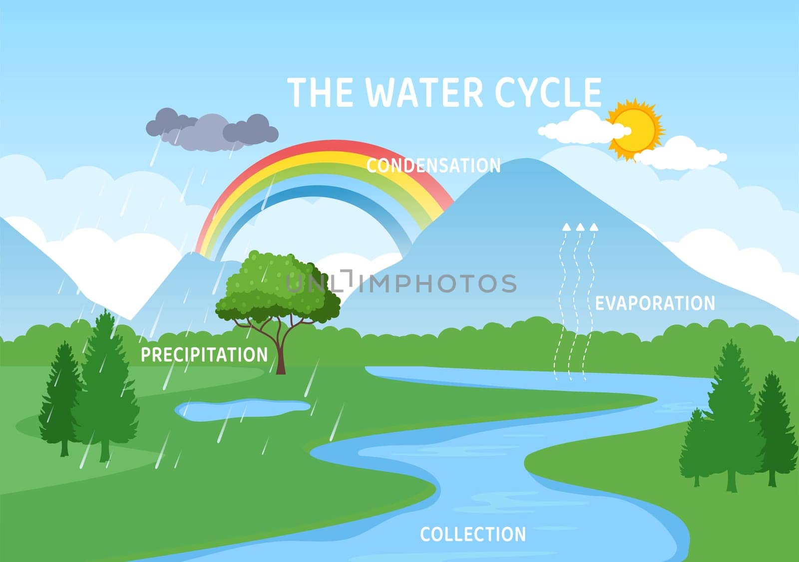 Water Cycle of Evaporation, Condensation, Precipitation to Collection in Earth natural environment on Flat Cartoon Hand Drawn Template Illustration