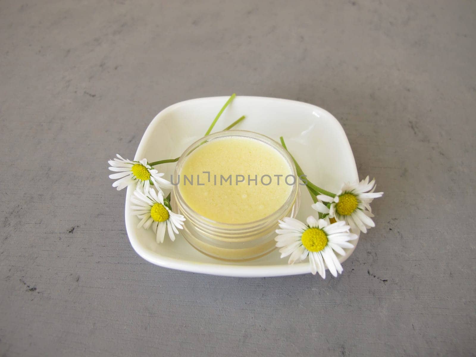 Homemade daisy ointment with daisy extract in a small jar