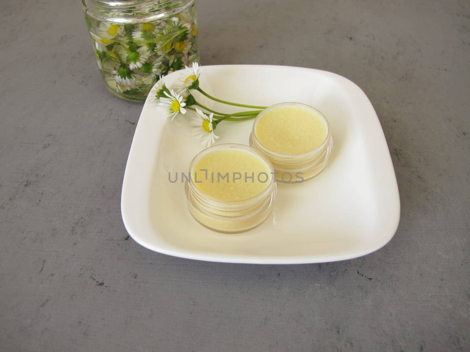 Homemade daisy ointment with daisy extract in a small jar