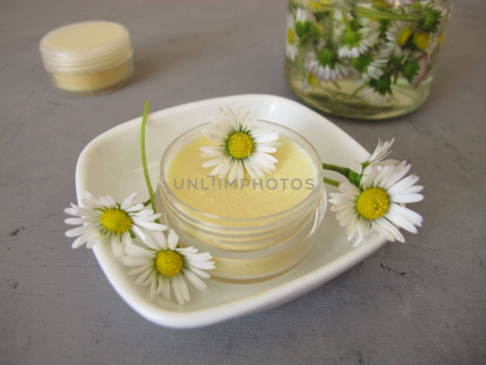Homemade daisy ointment with daisy extract in a small jar