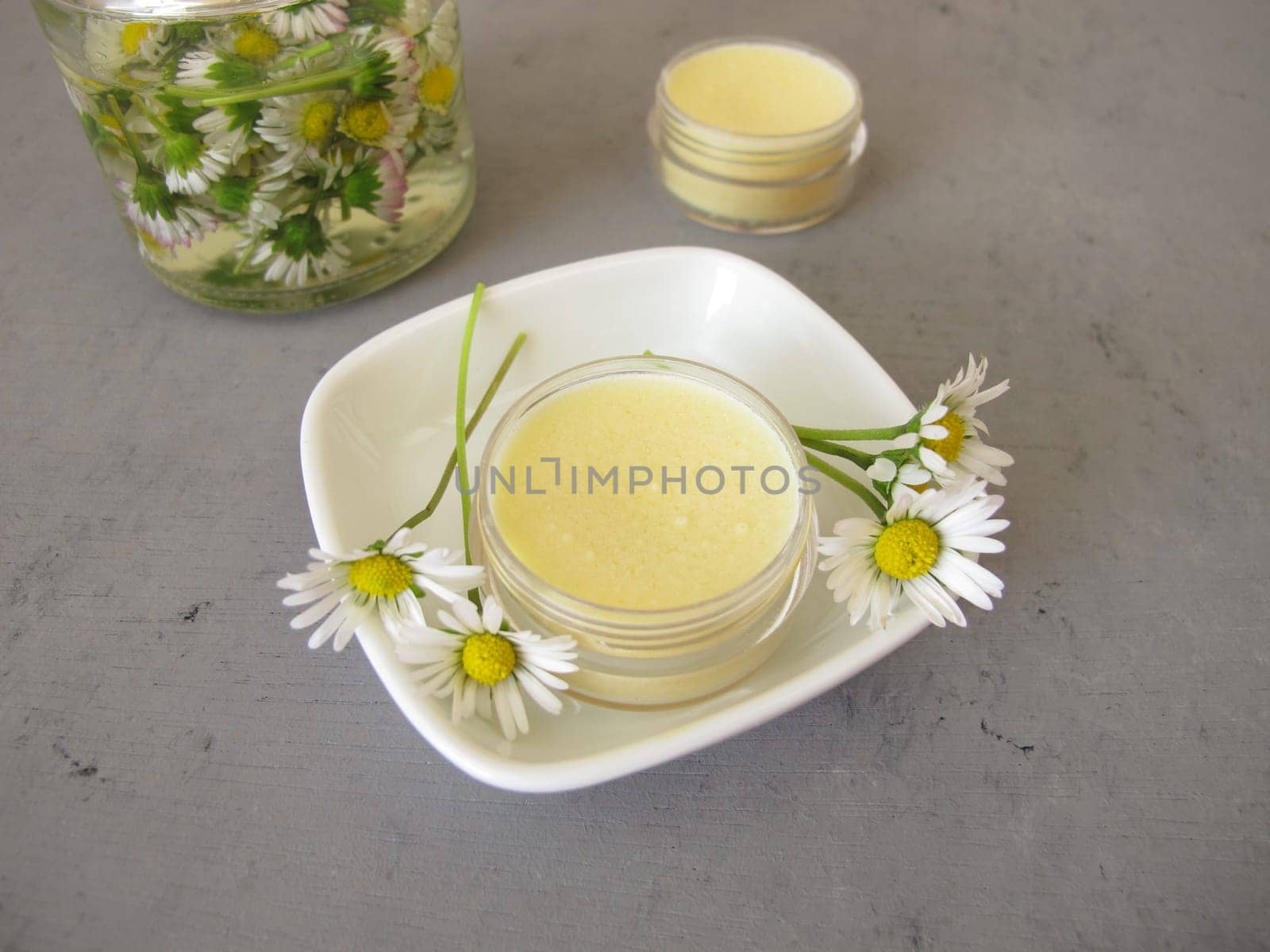 Homemade daisy ointment with daisy extract in a small jar