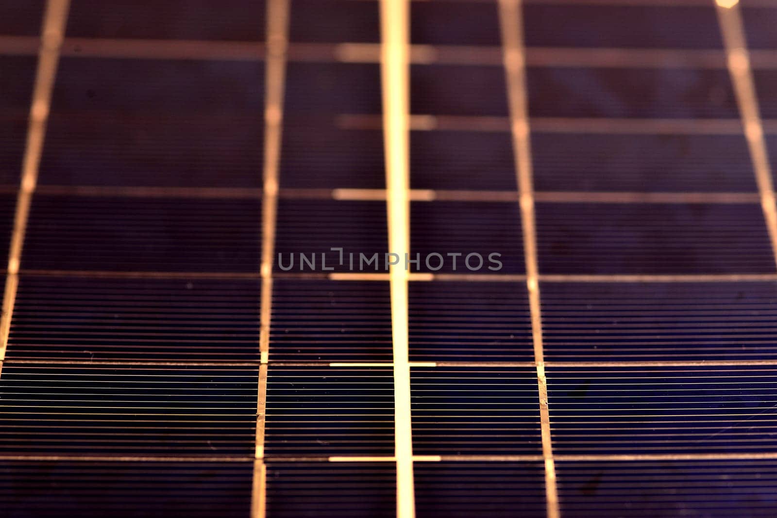 Solar panel in a closeup
