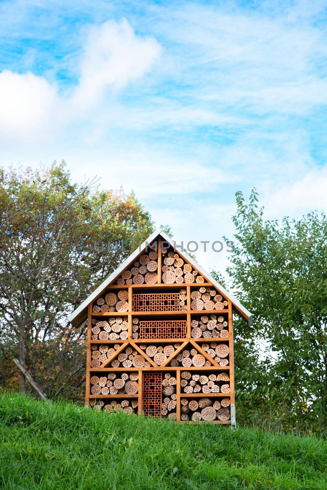 Wooden insect hotel, habitat for bugs and bees, rescue house, environment and ecology conversation, protect wildlife
