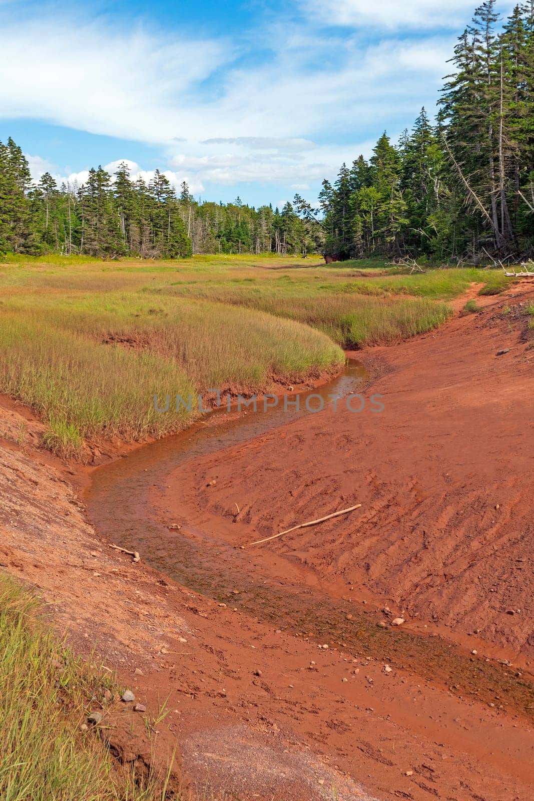 Coastal Estuary at Low Tide in teh Bay of Fundy in Nova Scotia