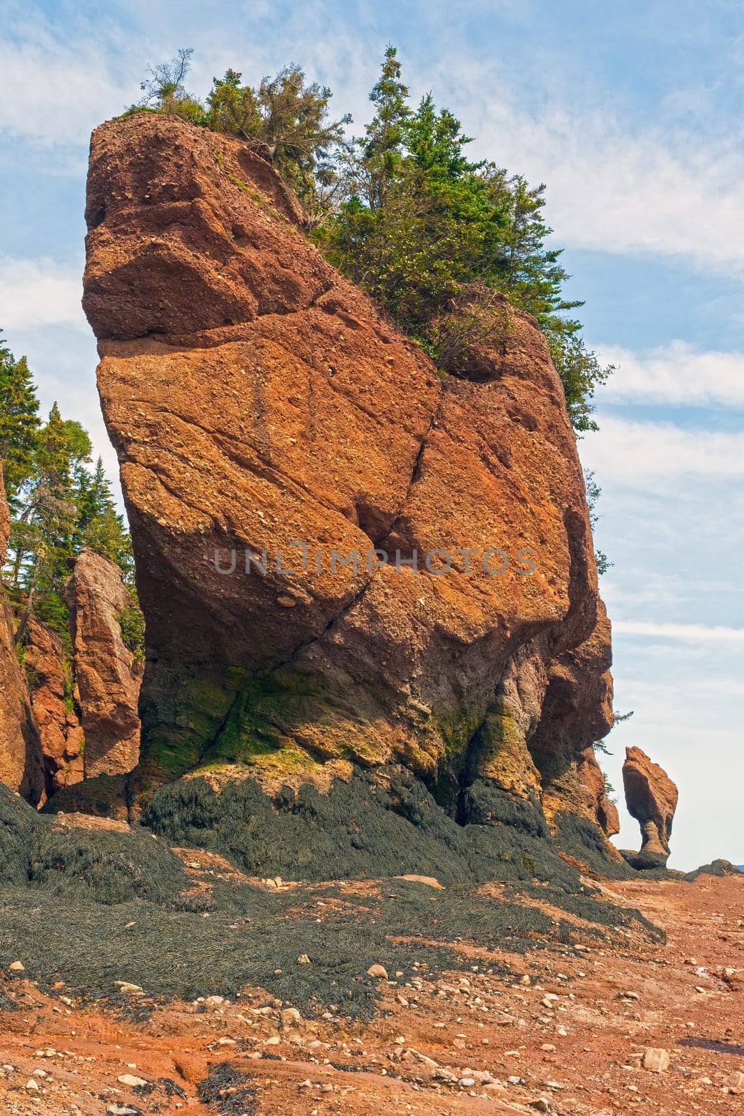 Dramatic Sea Stack at Low Tide at the Hopewell Rocks in New Brunswick