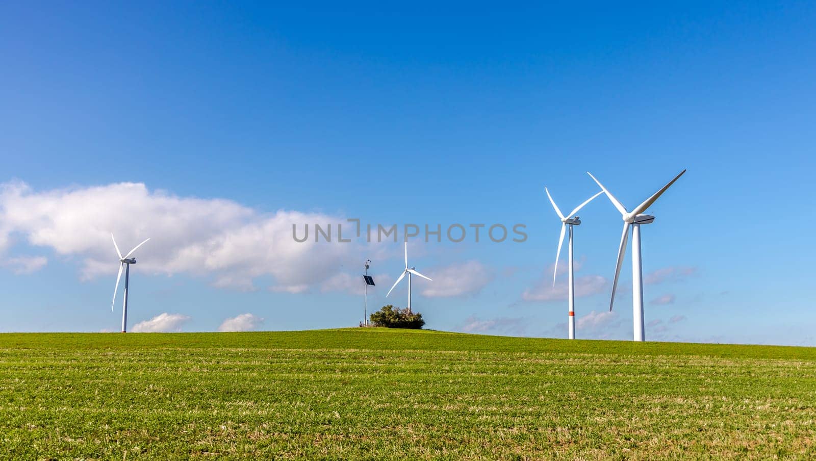 Three windmills generator with meadow on a sunny day