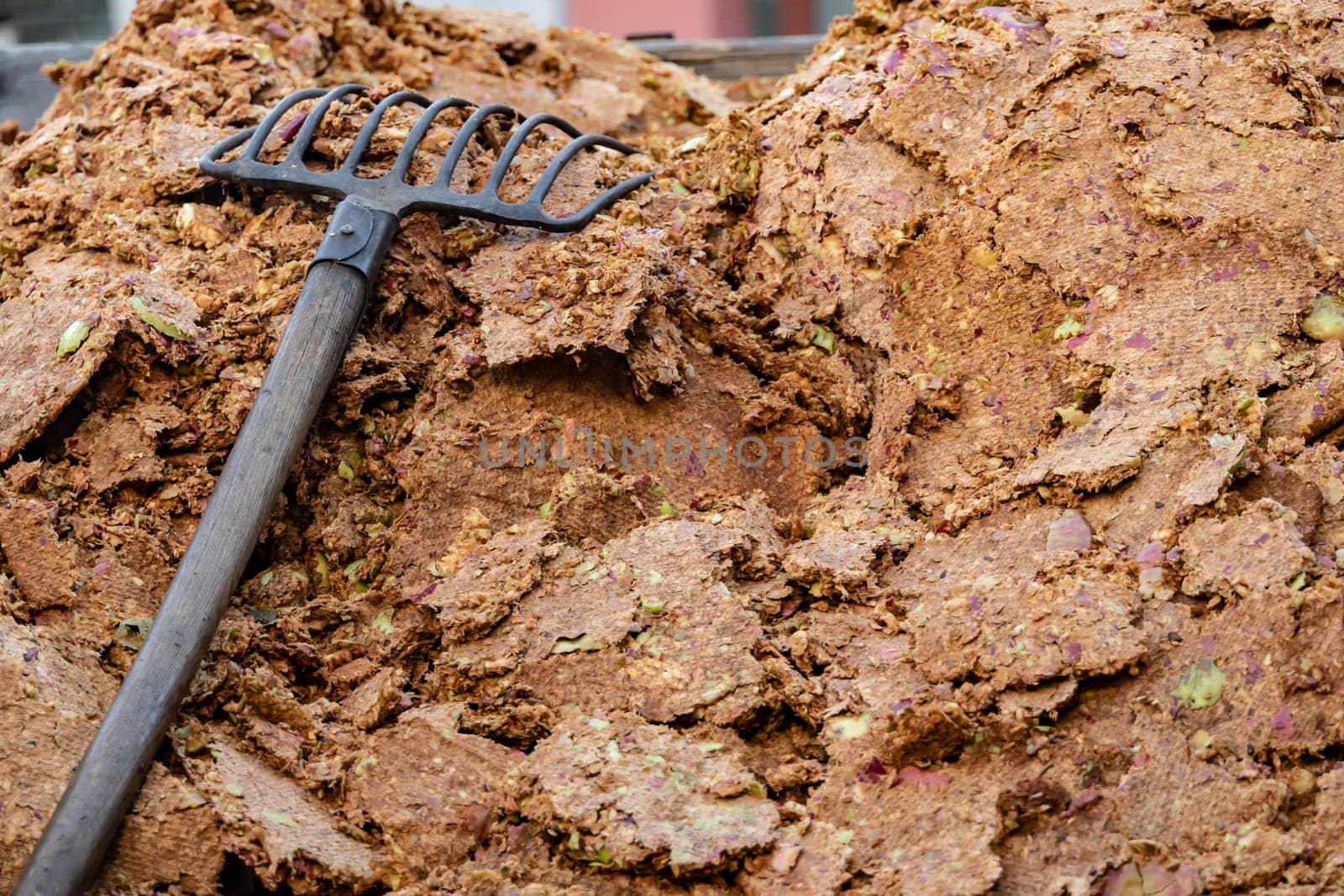 Pressed apple pomace with an agricultural fork in detail