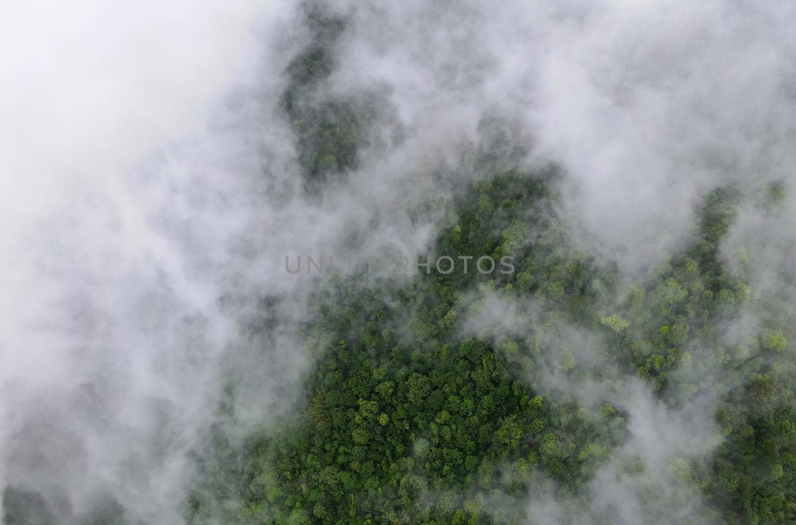 Aerial top down view Malaysia rainforest in morning low cloud