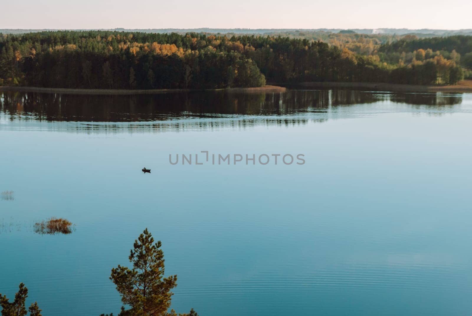 Lake Baltieji Lakajai in Labanoras Regional Park, Lithuania from a bird's eye view from the observation deck.