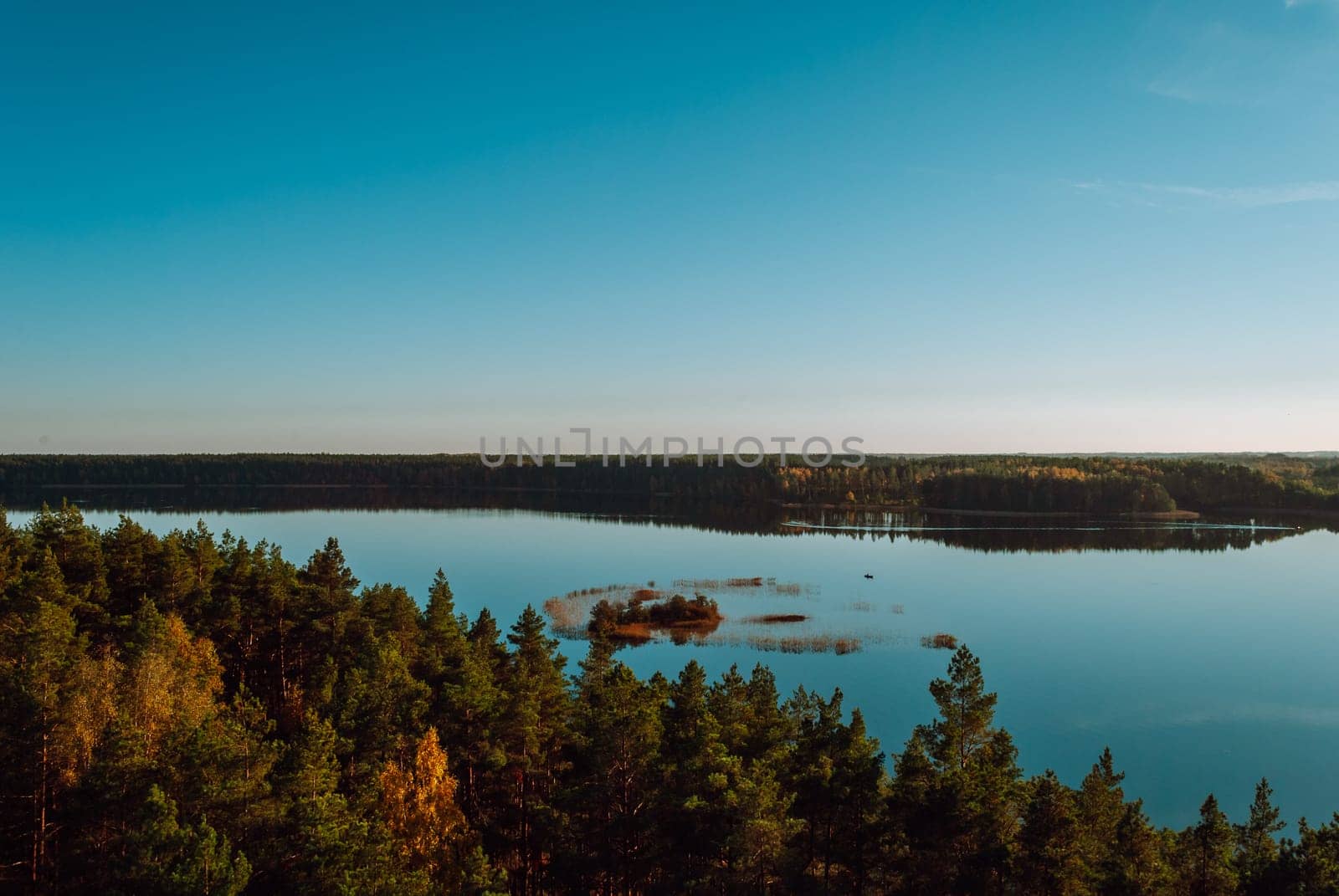 Top view of the island on Lake Baltieji Lakajai in Labanoras Regional Park, Lithuania against a blue sky.