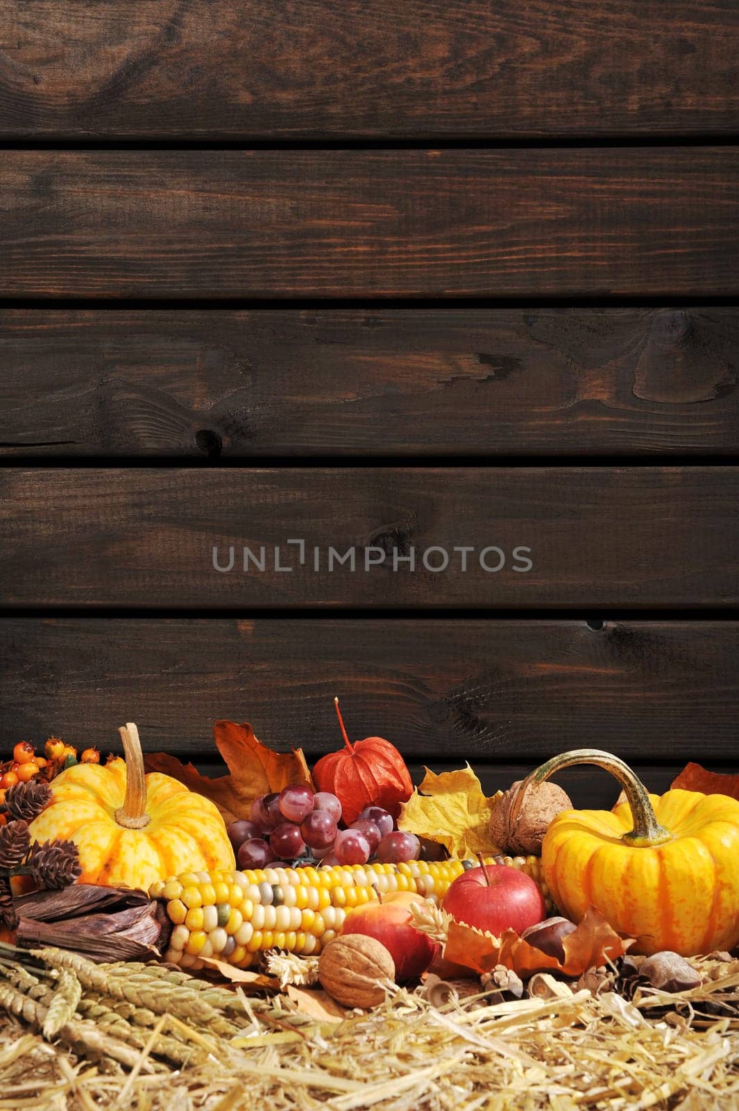 Thanksgiving - fruit and vegetables on straw in front of an old weathered wooden wall with text space