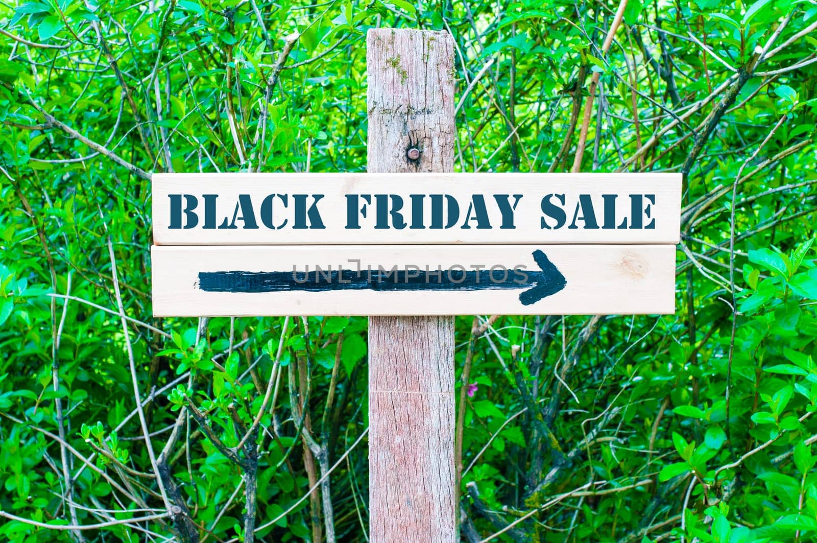 BLACK FRIDAY SALE written on Directional wooden sign with arrow pointing to the right against green leaves background. Concept image with available copy space
