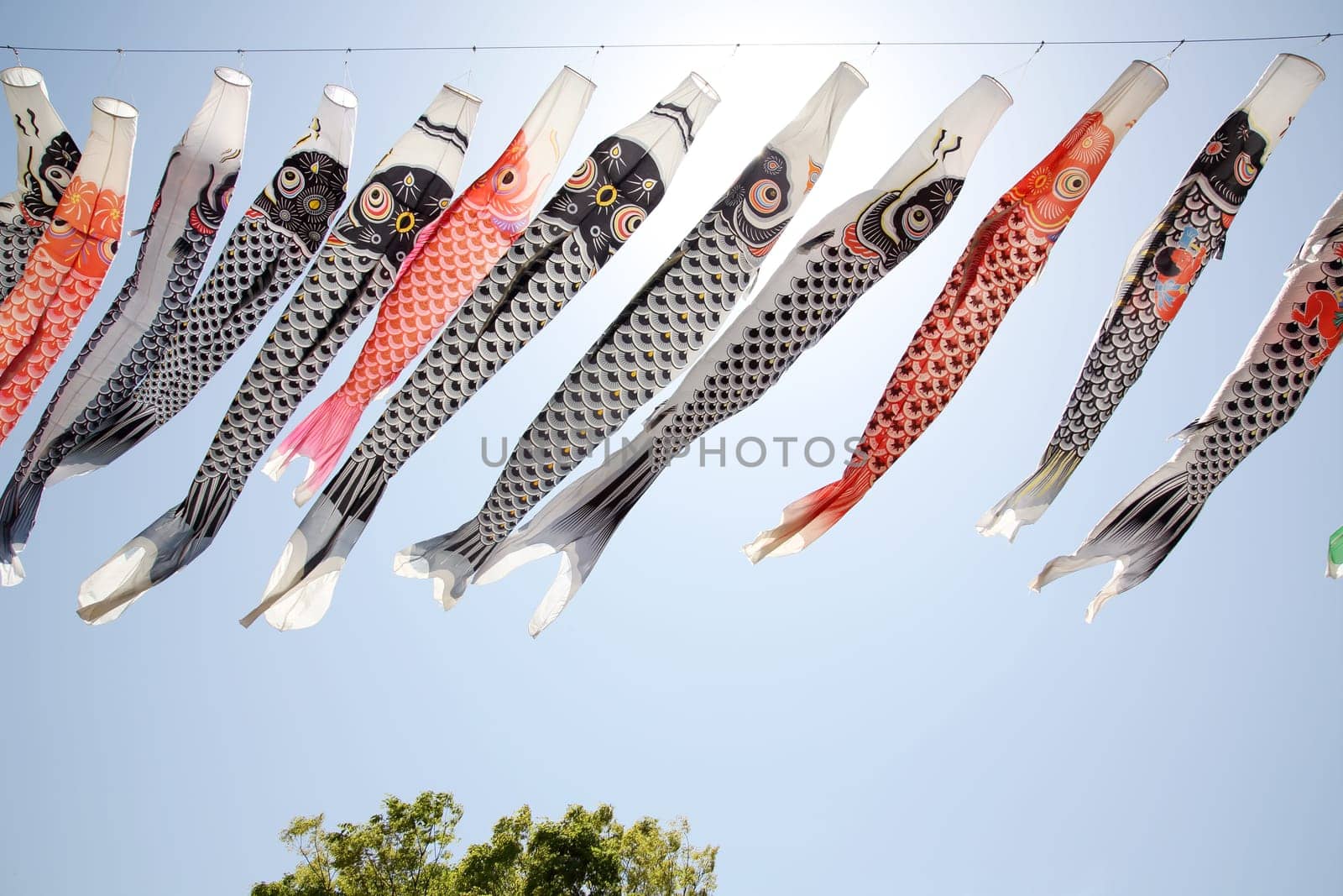 Japanese carp streamer decoration