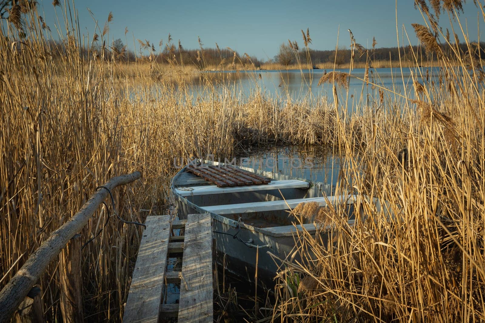 A small boat in the reeds of the lake, spring view