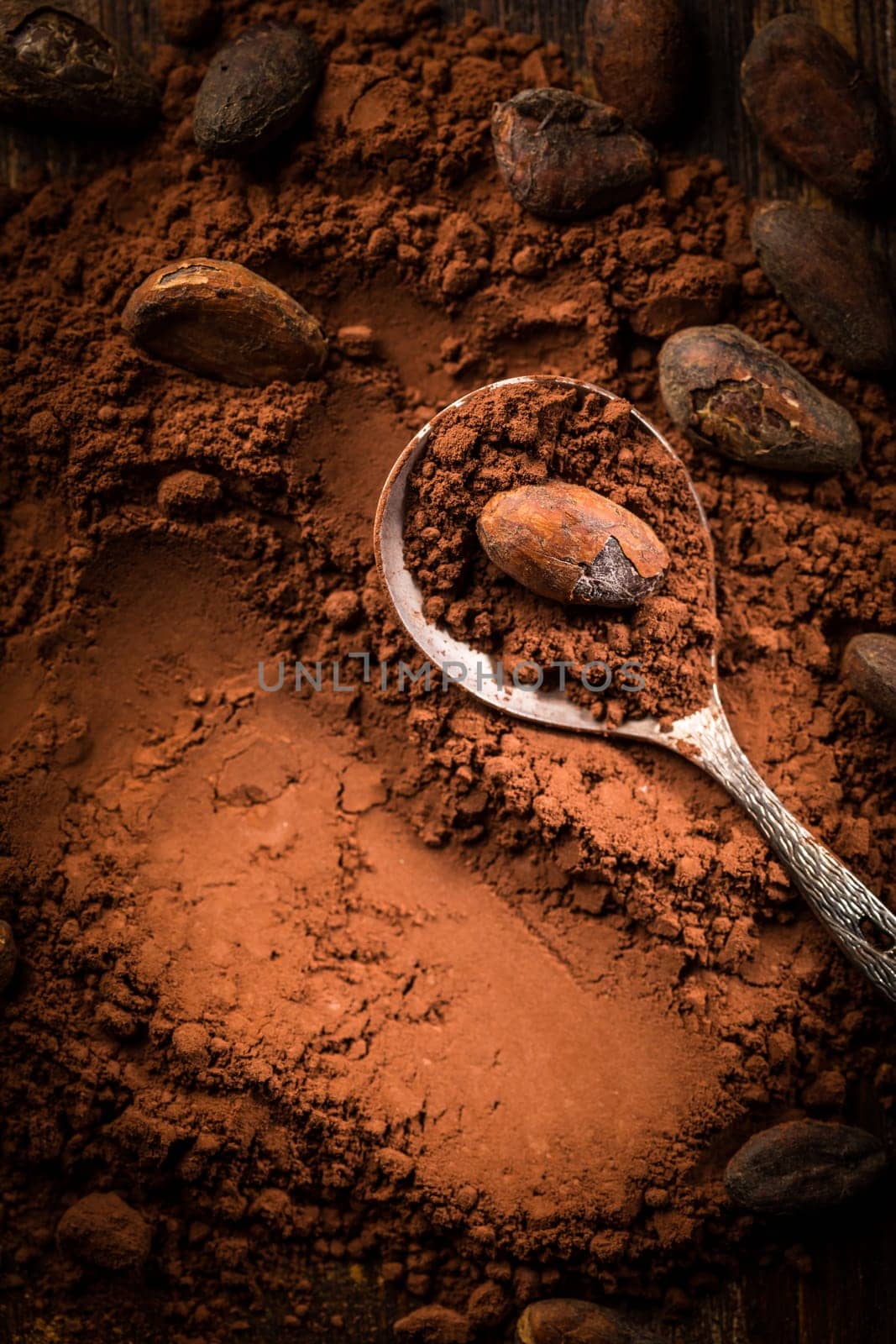 Aromatic Cocoa powder and cocoa beans in brown