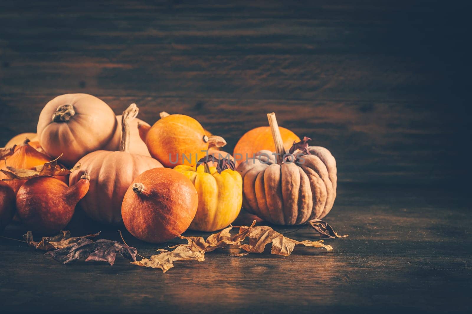 Assortment of pumpkins with autumn leaves on wooden background. Thanksgiving and Halloween concept.