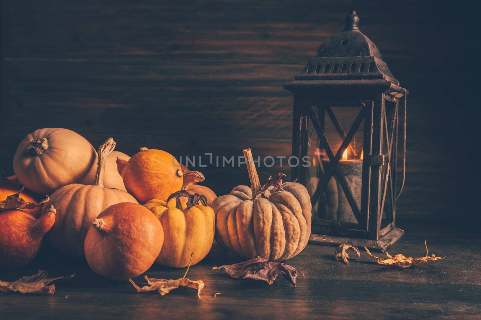 Assortment of pumpkins with autumn leaves on wooden background. Thanksgiving and Halloween concept.
