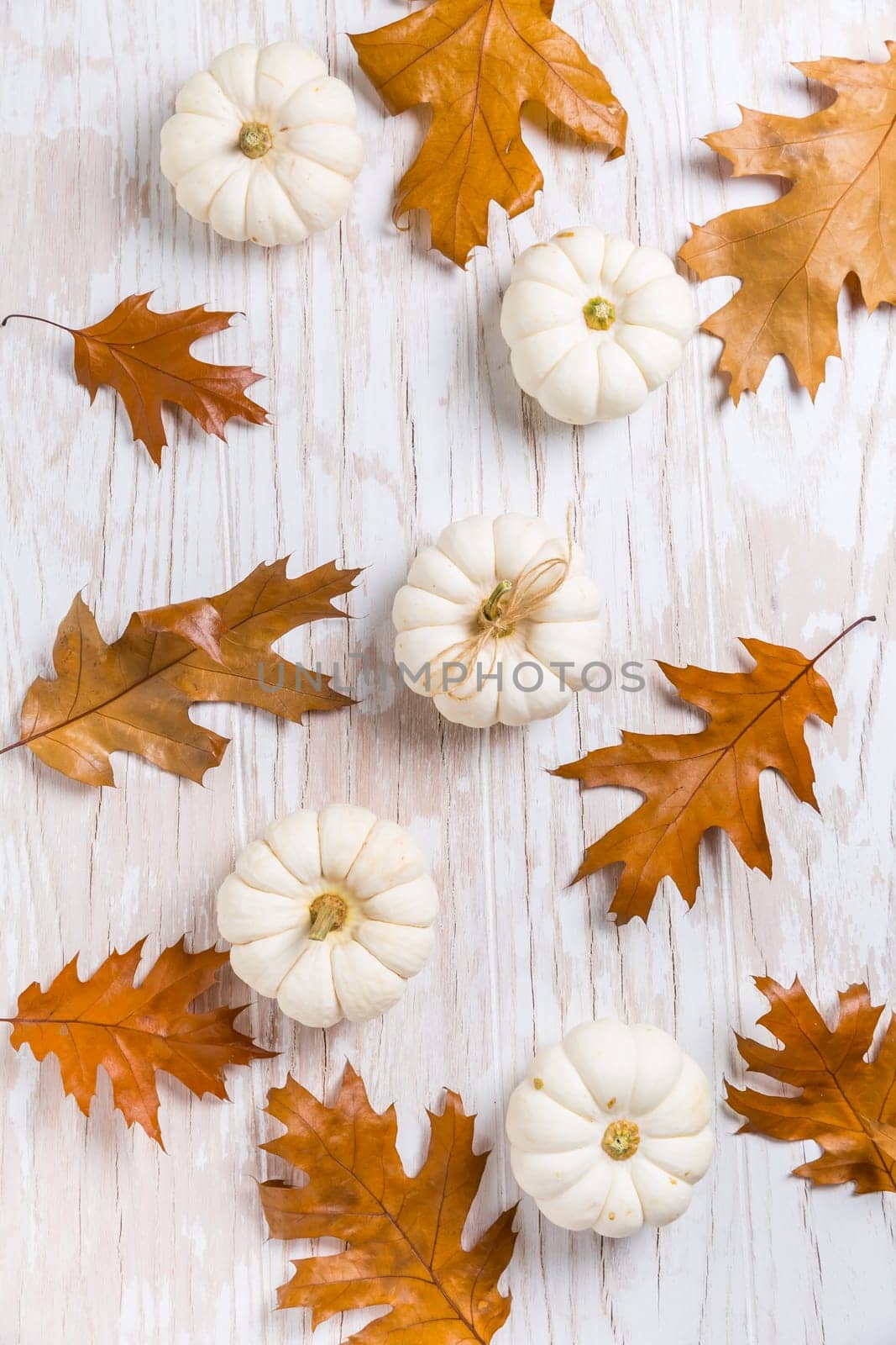 Assortment of pumpkins with autumn leaves on wooden background. Thanksgiving and Halloween concept.