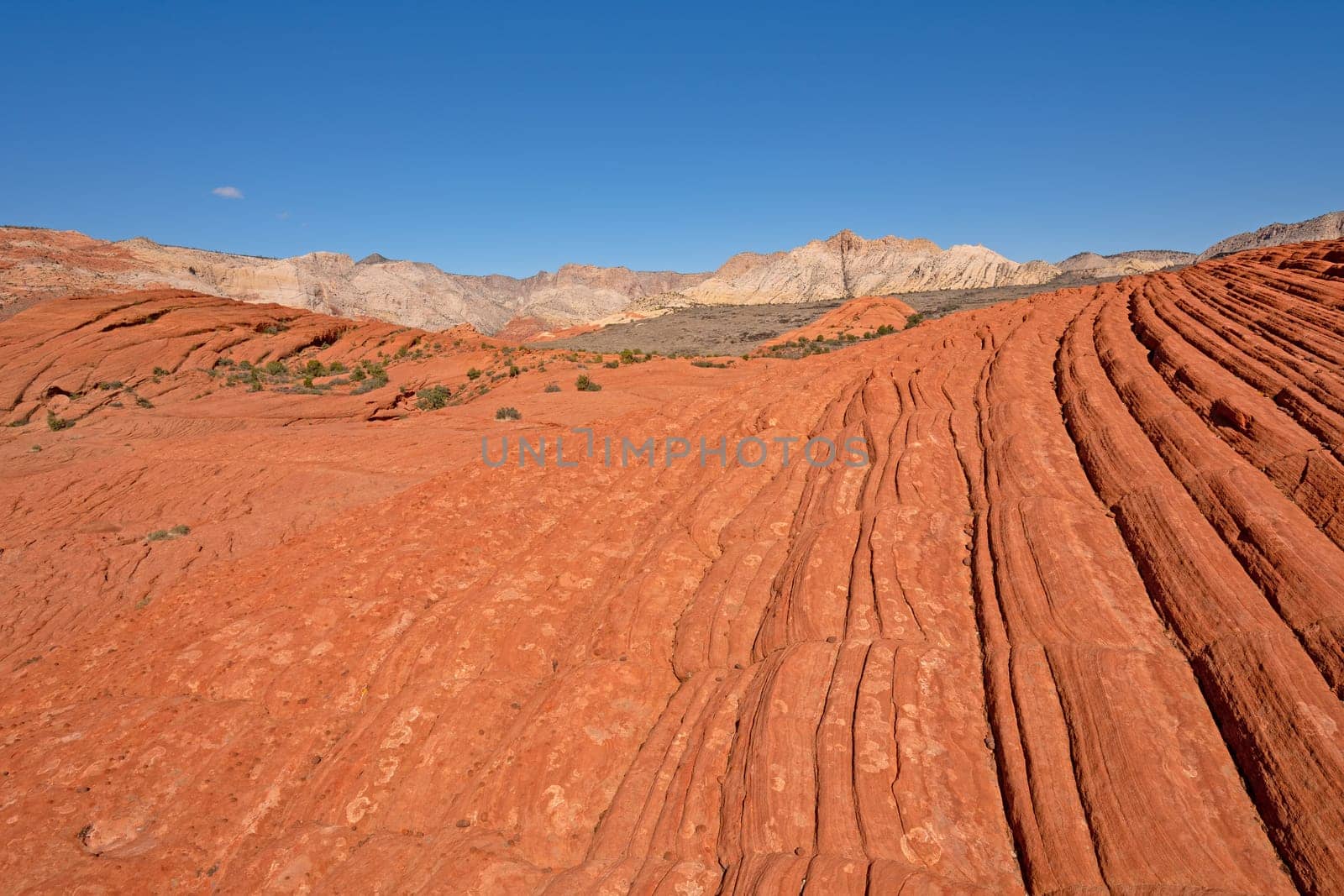 Red and White Sandstone in the the Desert in Snow Canyon State Park in Utah