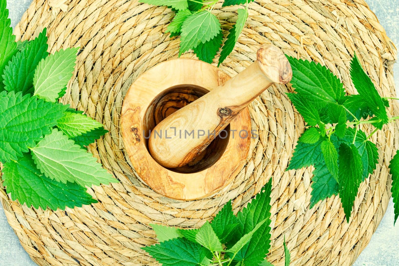 Fresh nettle bunch and wooden rustic mortar on light background. Herbal medicine.