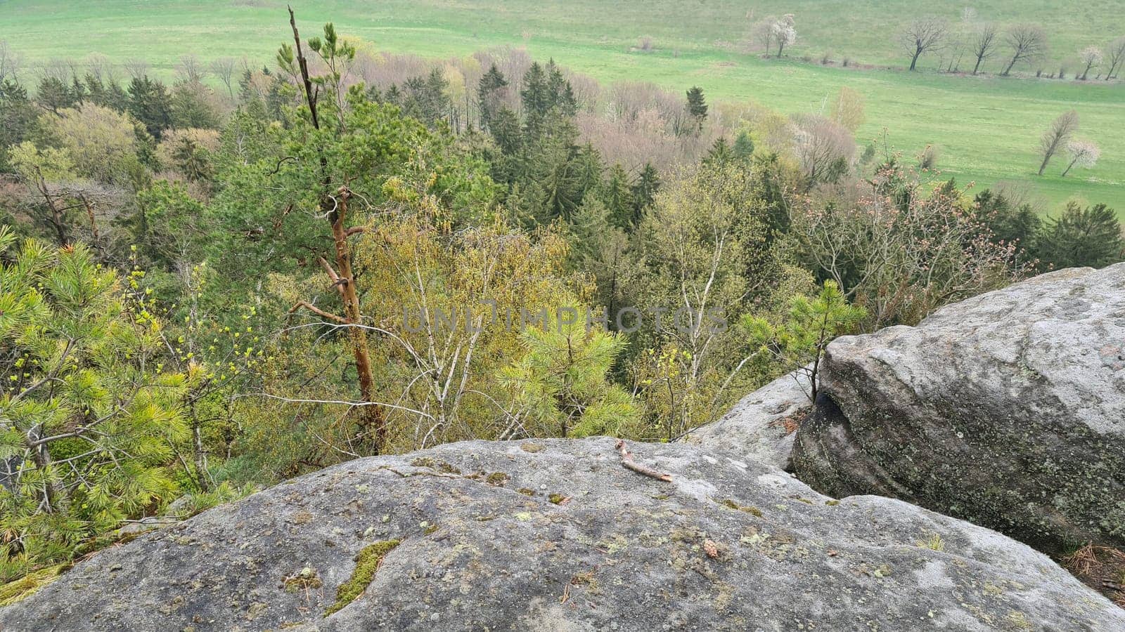Bastei in the Elbe Sandstone Mountains Saxony Germany.