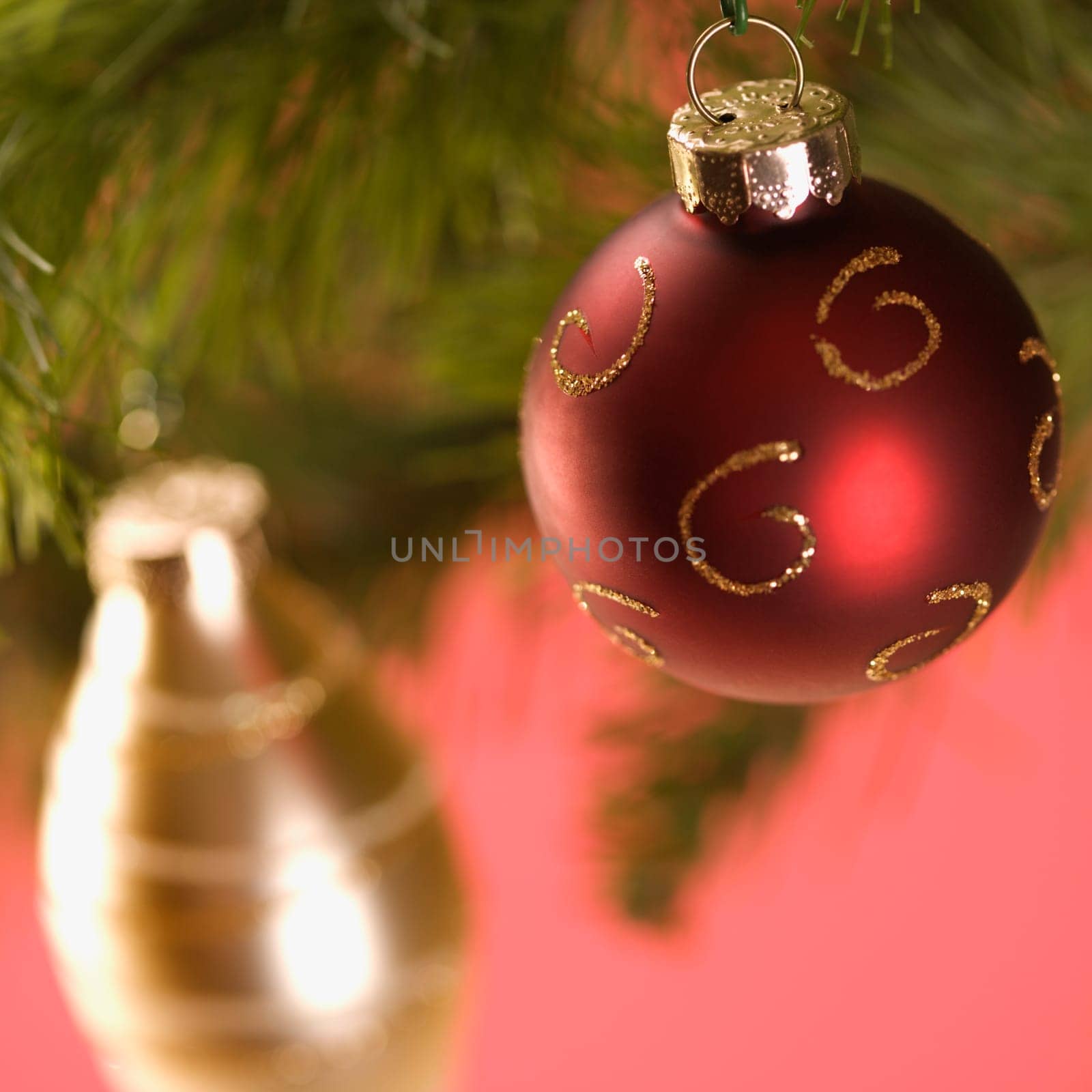 Still life of red and gold Christmas ornaments hanging from pine branch.