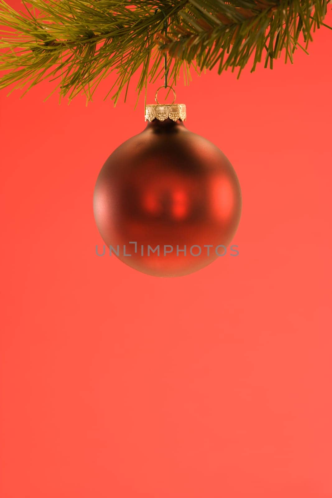 Still life of red Christmas ornament hanging from pine branch.