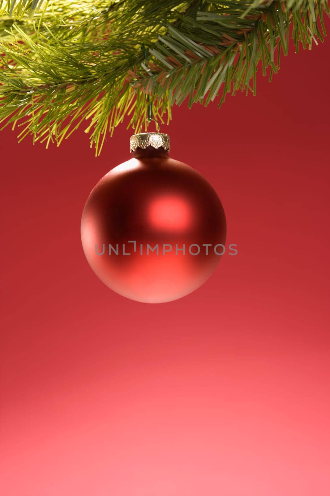 Still life of round red Christmas ornament hanging from pine branch.