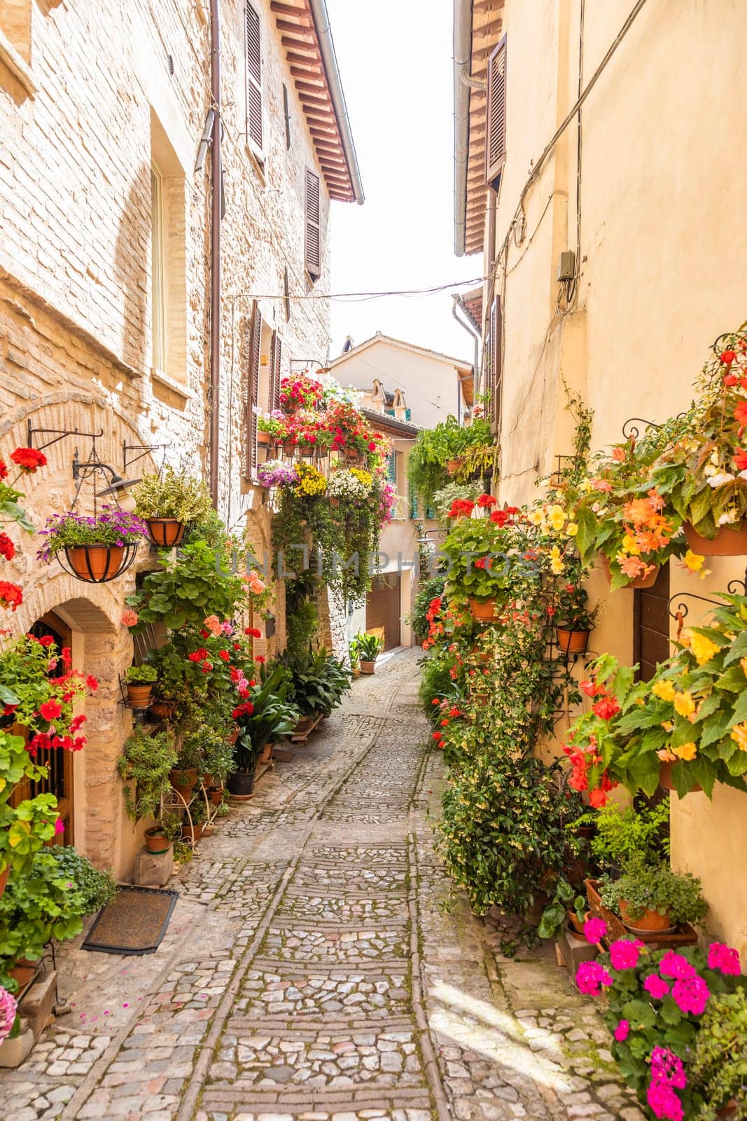 Spello, Italy - Circa June 2021: flowers in ancient street. Spello is located in Umbria region, Italy.