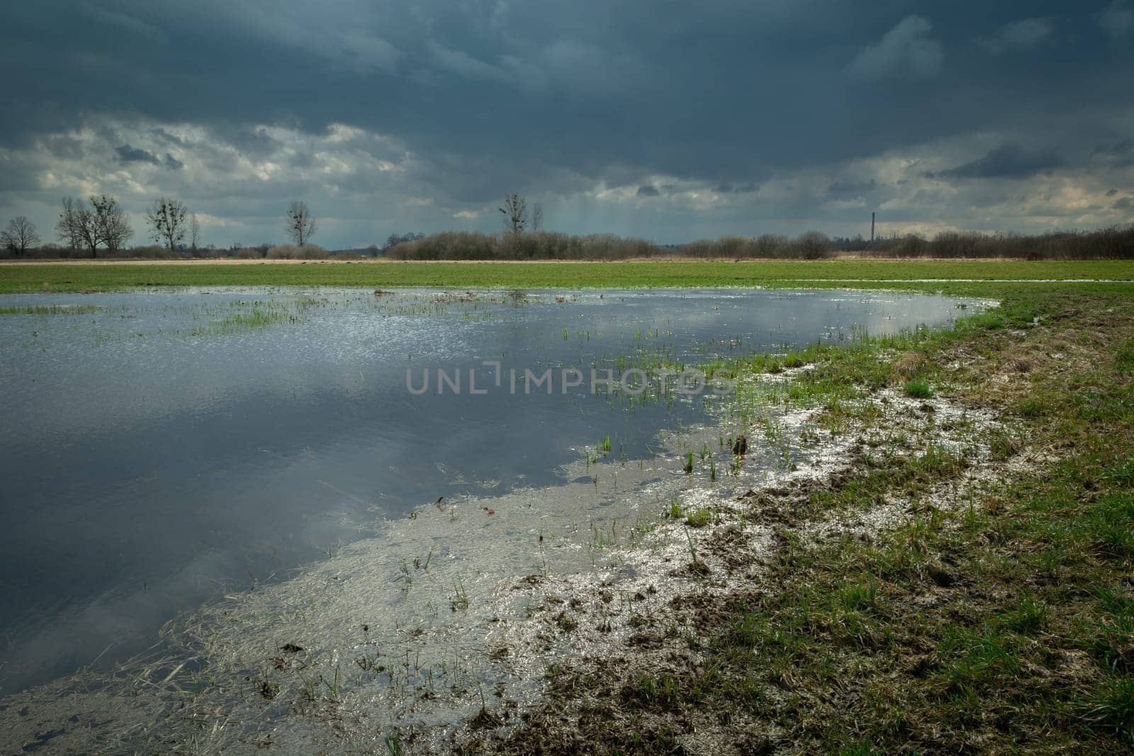 Rainwater on the meadow and cloudy sky, spring day