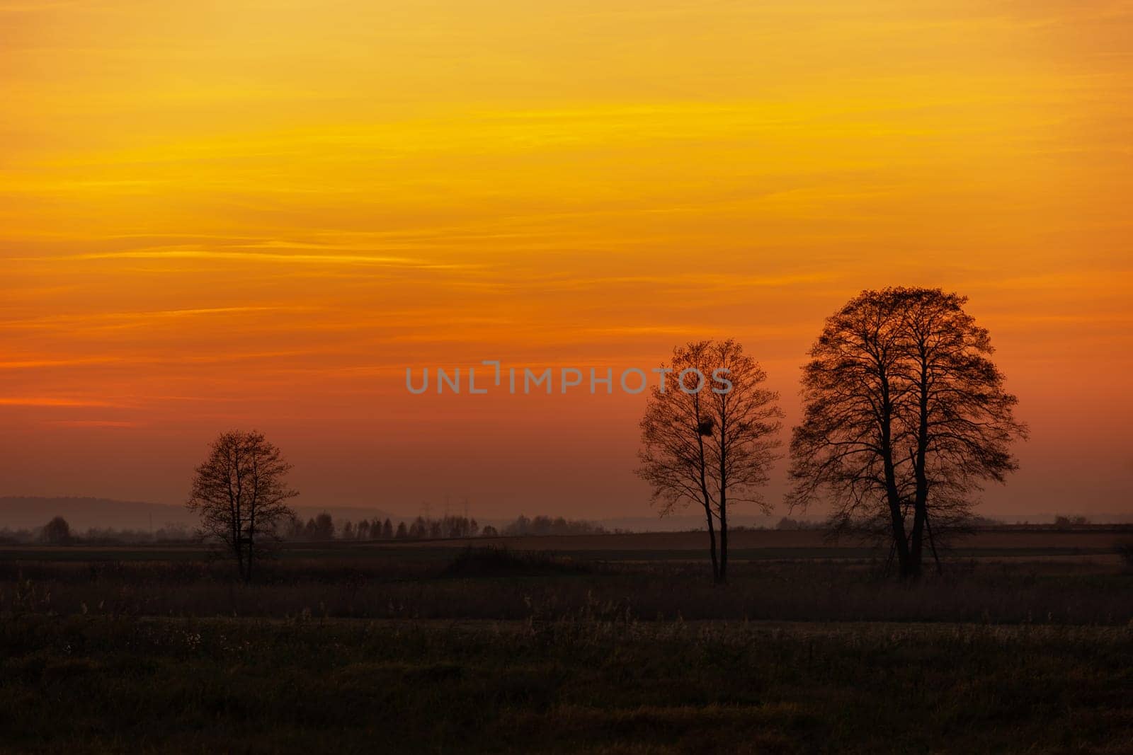 Trees on the horizon and clouds during sunset, Gotowka, Poland
