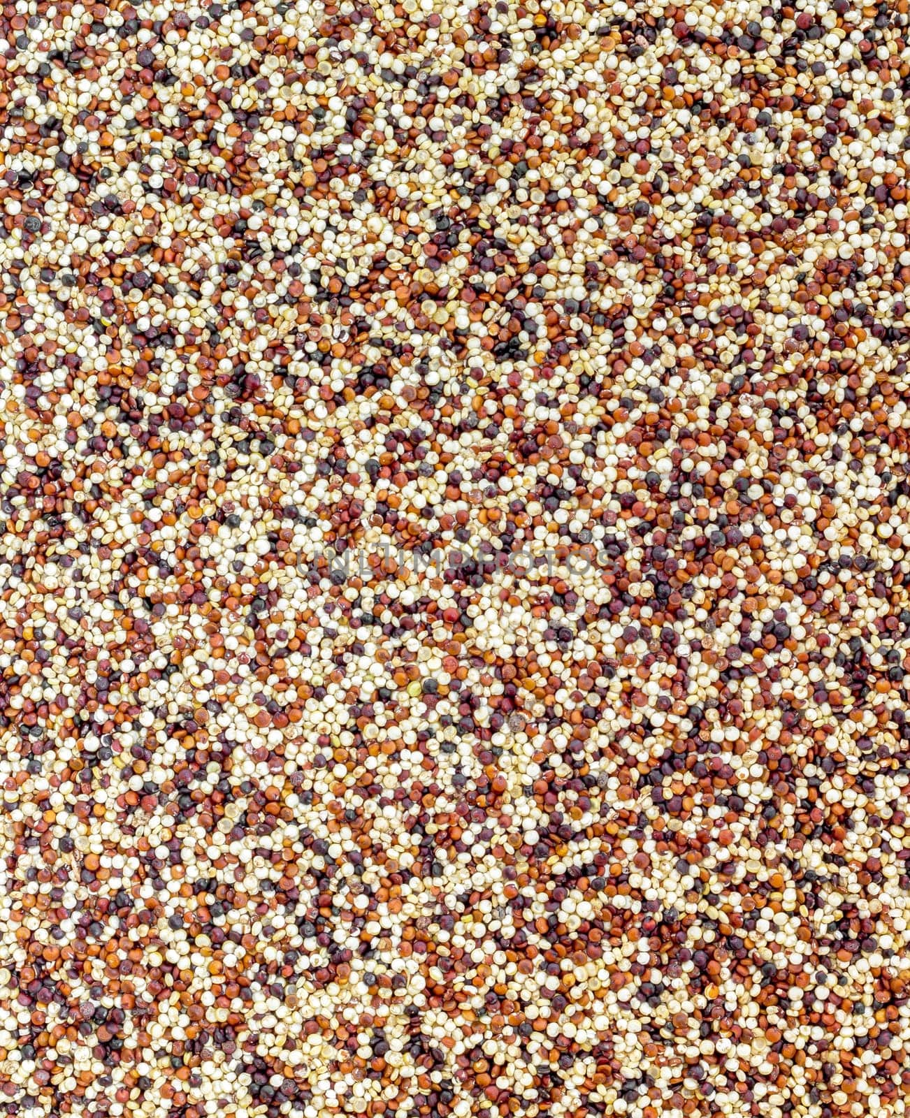 Seeds of uncooked quinoa. Healthy food. Ideal for concepts and backgrounds.