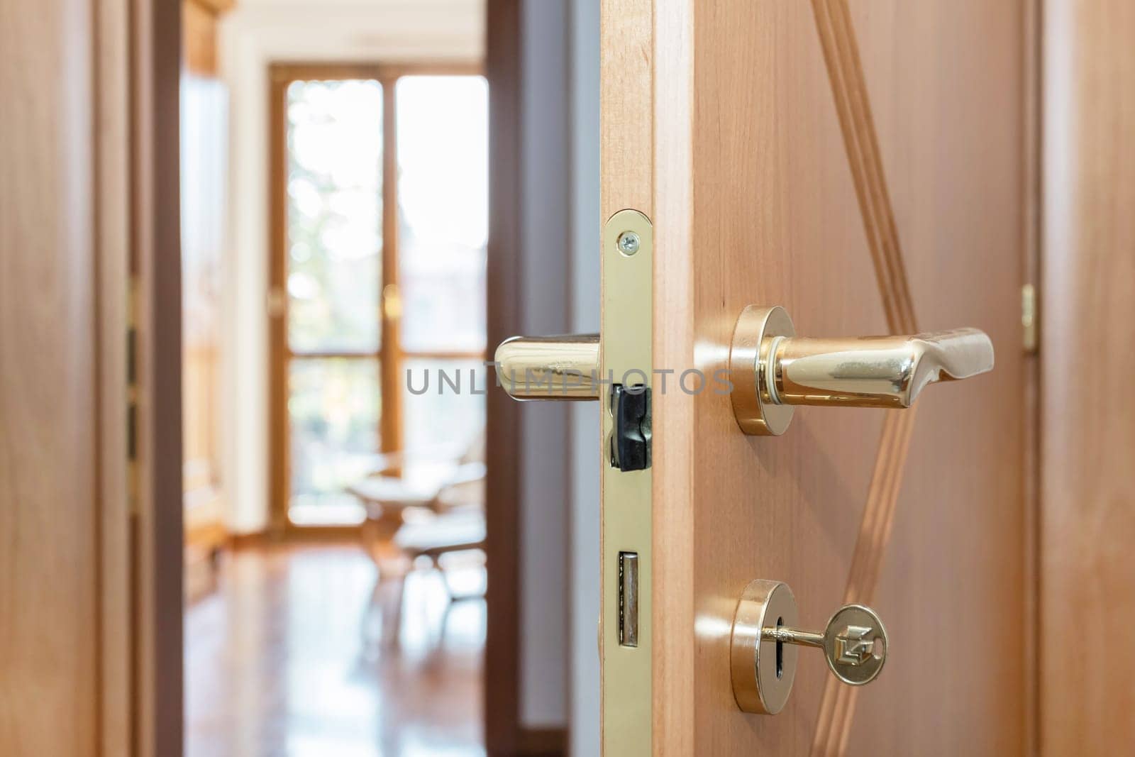 Modern door knob close-up to the livingroom, home concept new. Real Estate.