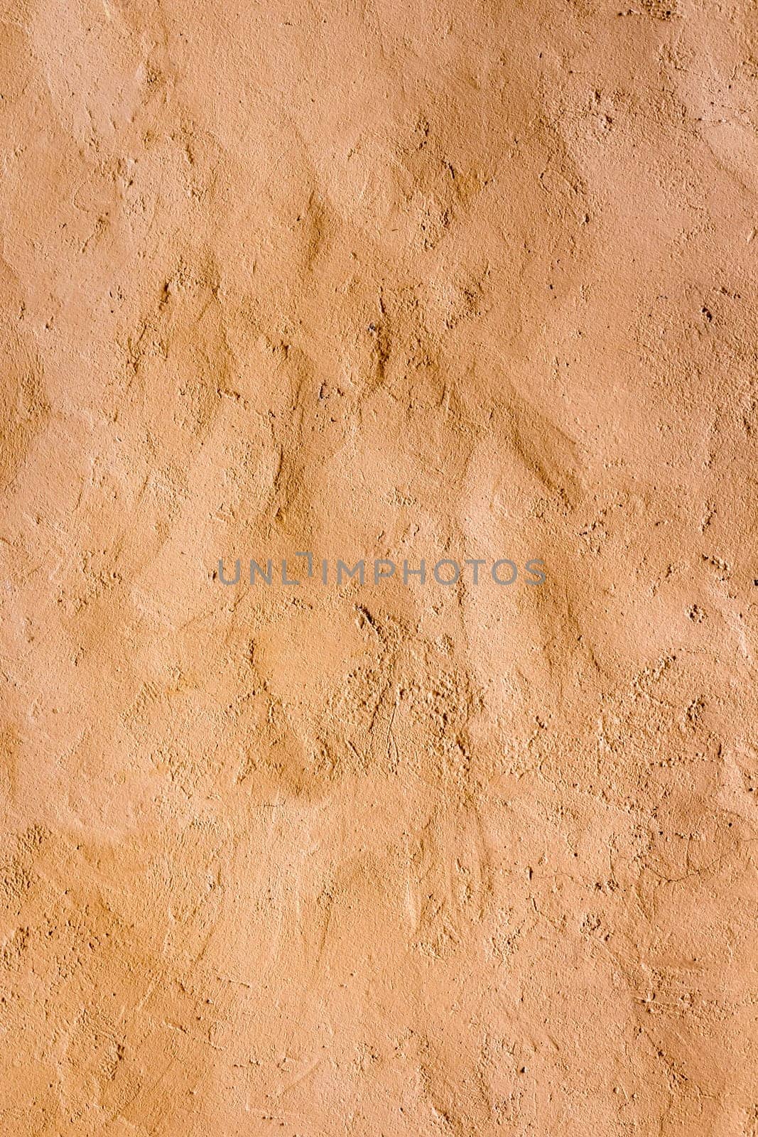 Wall decorated with Venetian plaster and rough plaster.