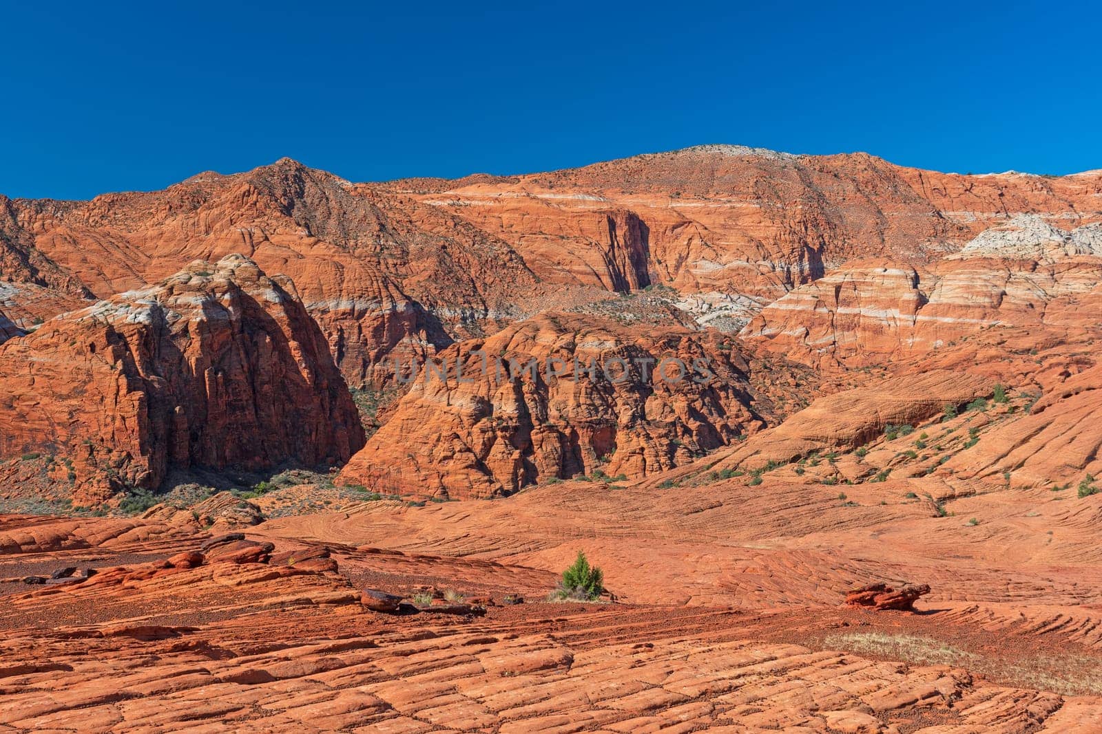 Impressive Sandstone Cliffs Rising From the Desert in Snow Canyon State Park In Utah