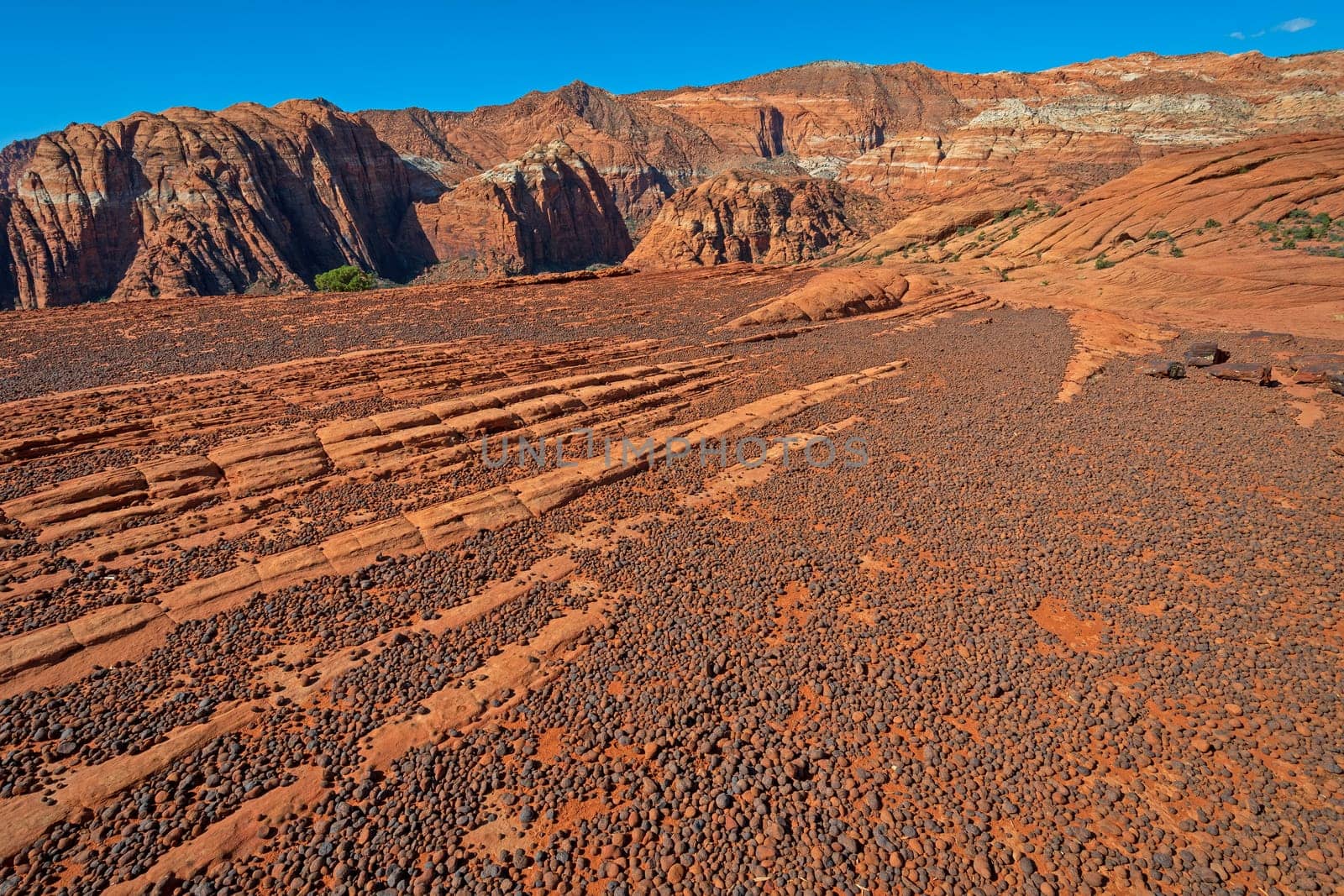 Volcanic Pebbles on a Sandstone Plateau in Snow Canyon State Park in Utah