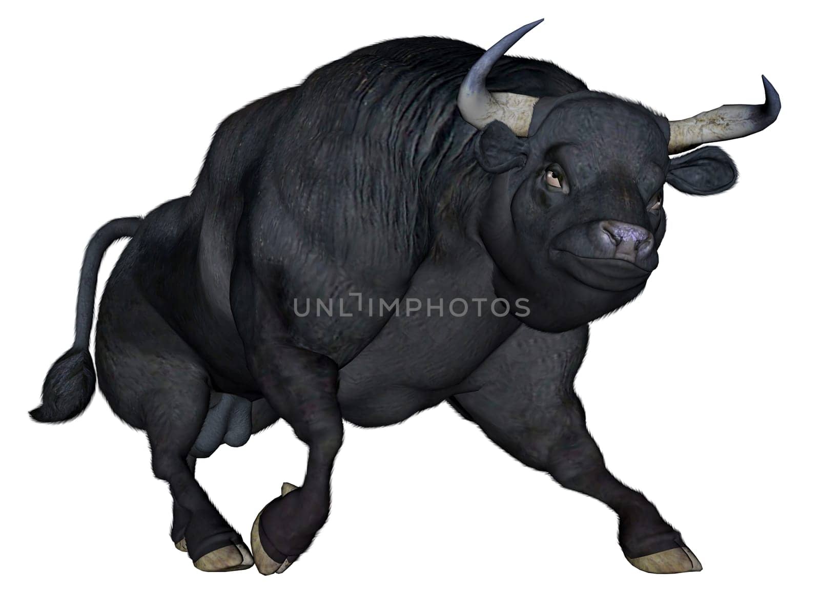 Bull walking isolated in white background- 3D render