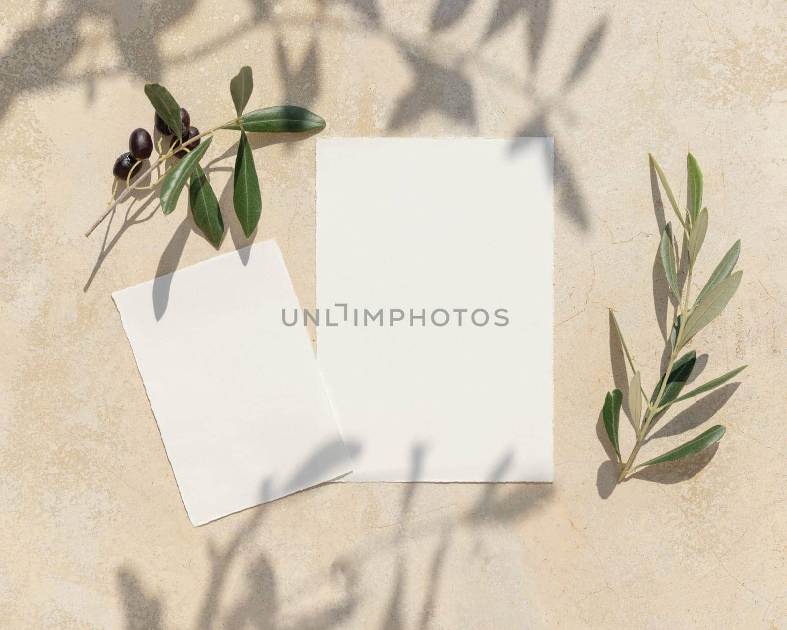 Wedding blank paper cards on a concrete table decorated with olive branches with fruits top view, mockup. Sunny summer mediterranean scene with vertical invitation cards. Flat lay with place for text