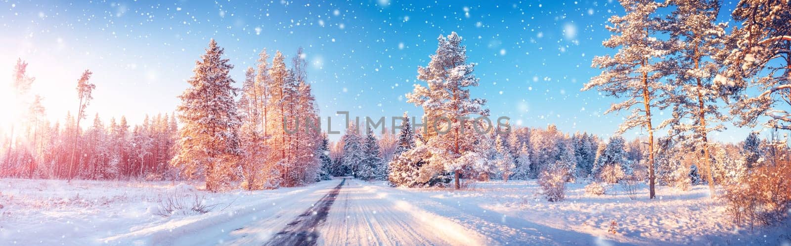 Snowfall on the snowy road in the natural park in winter. Beauriful scenic background.