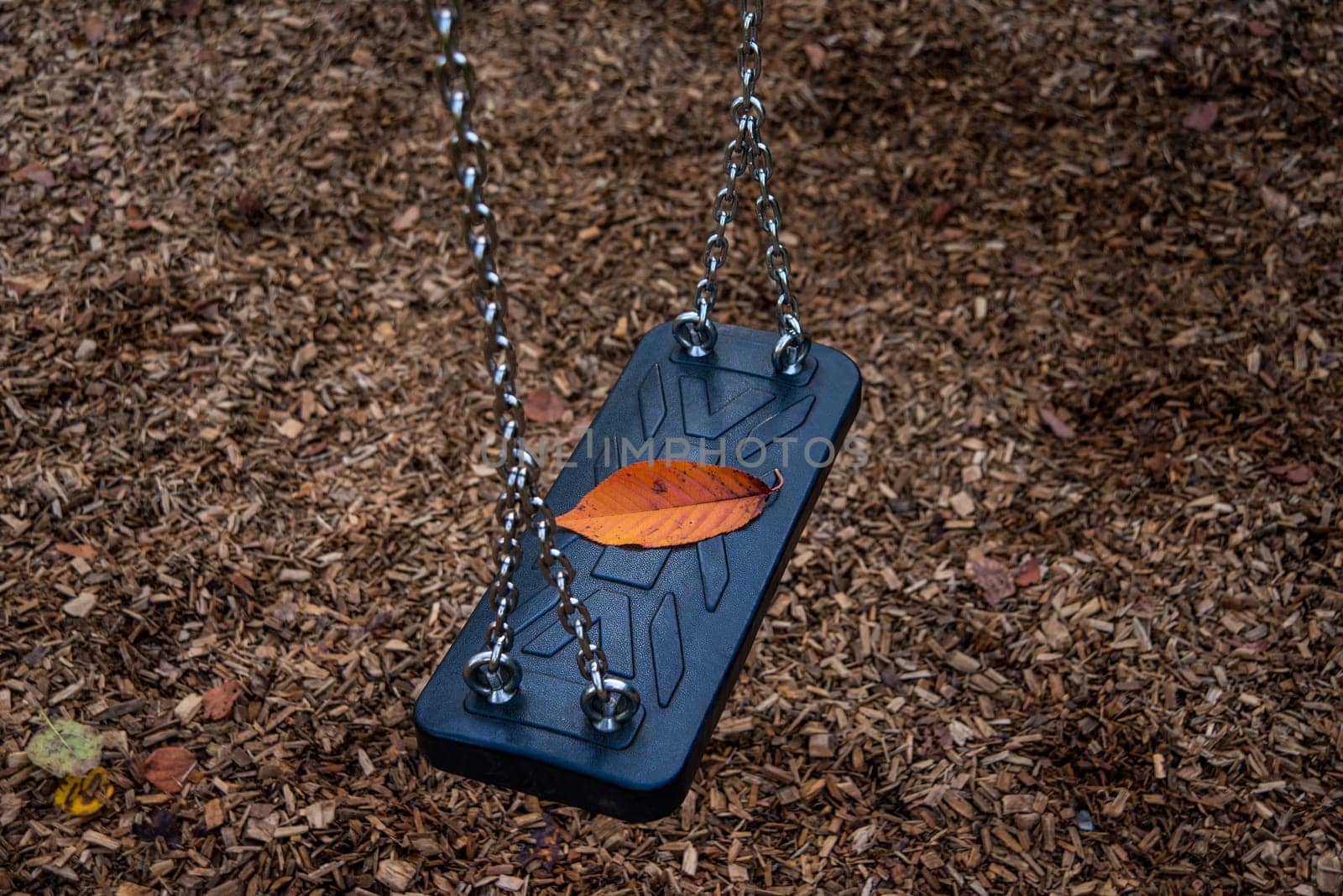 autumnal colored leaf on a swing