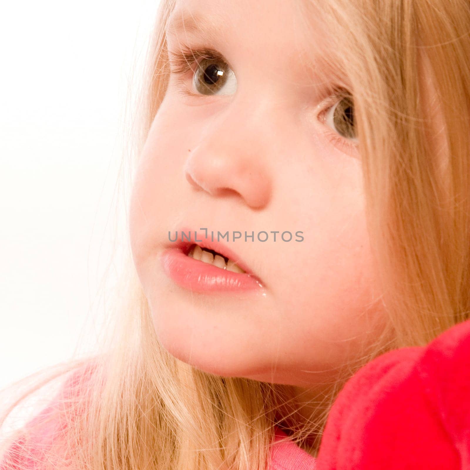 little children portraits taken in the studio on a white background