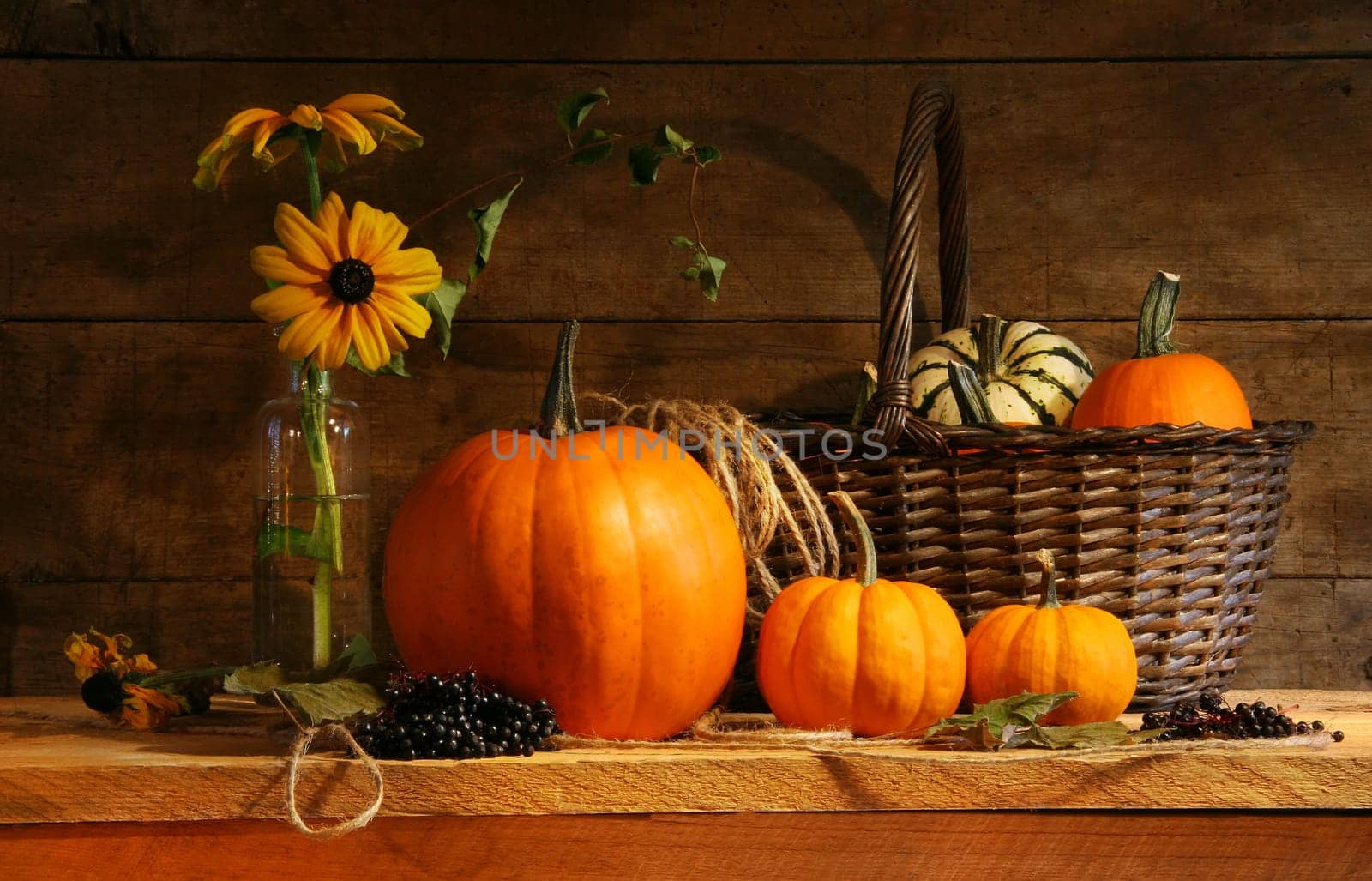 Autumn still life with pumpkins and flowers