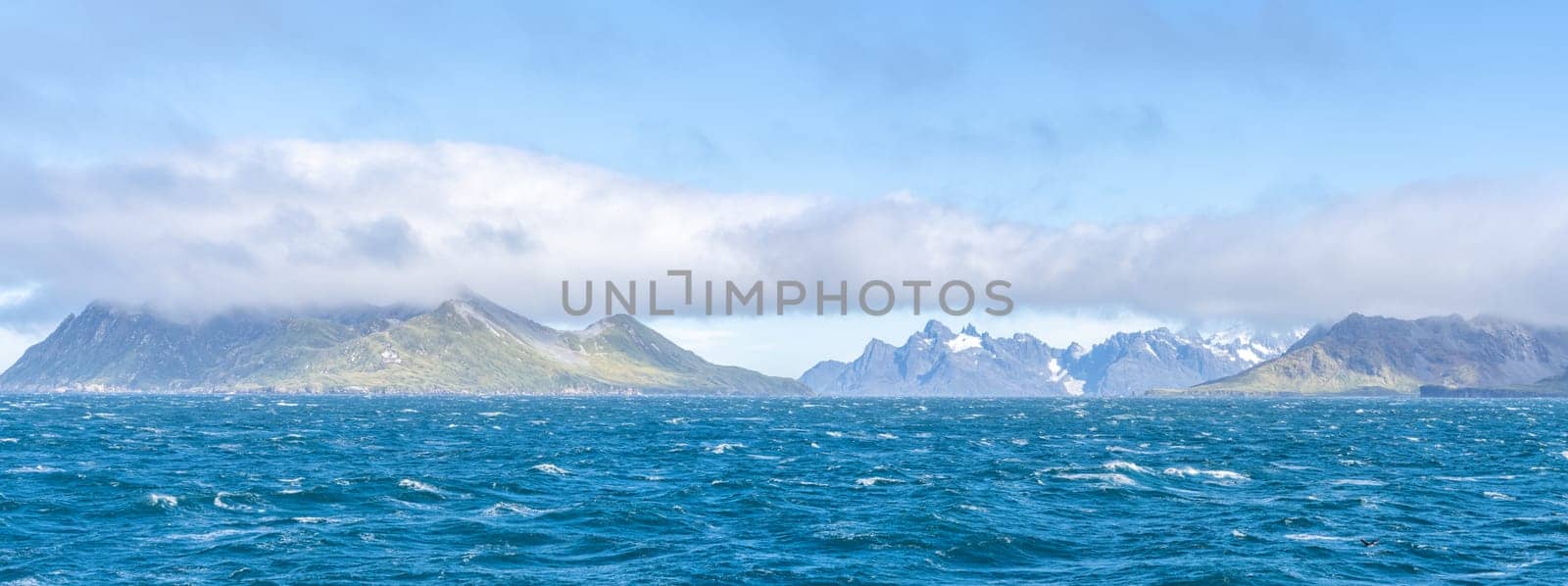 Widescreen panoramic view of South Georgia, a dreamlike island where king penguins and elephant seals say goodnight to each other