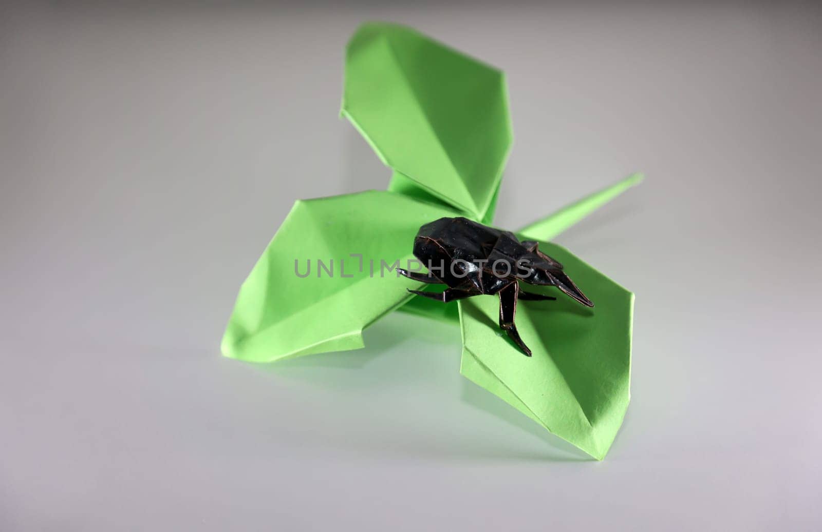 A beetle on a green leaf made with origami technique.