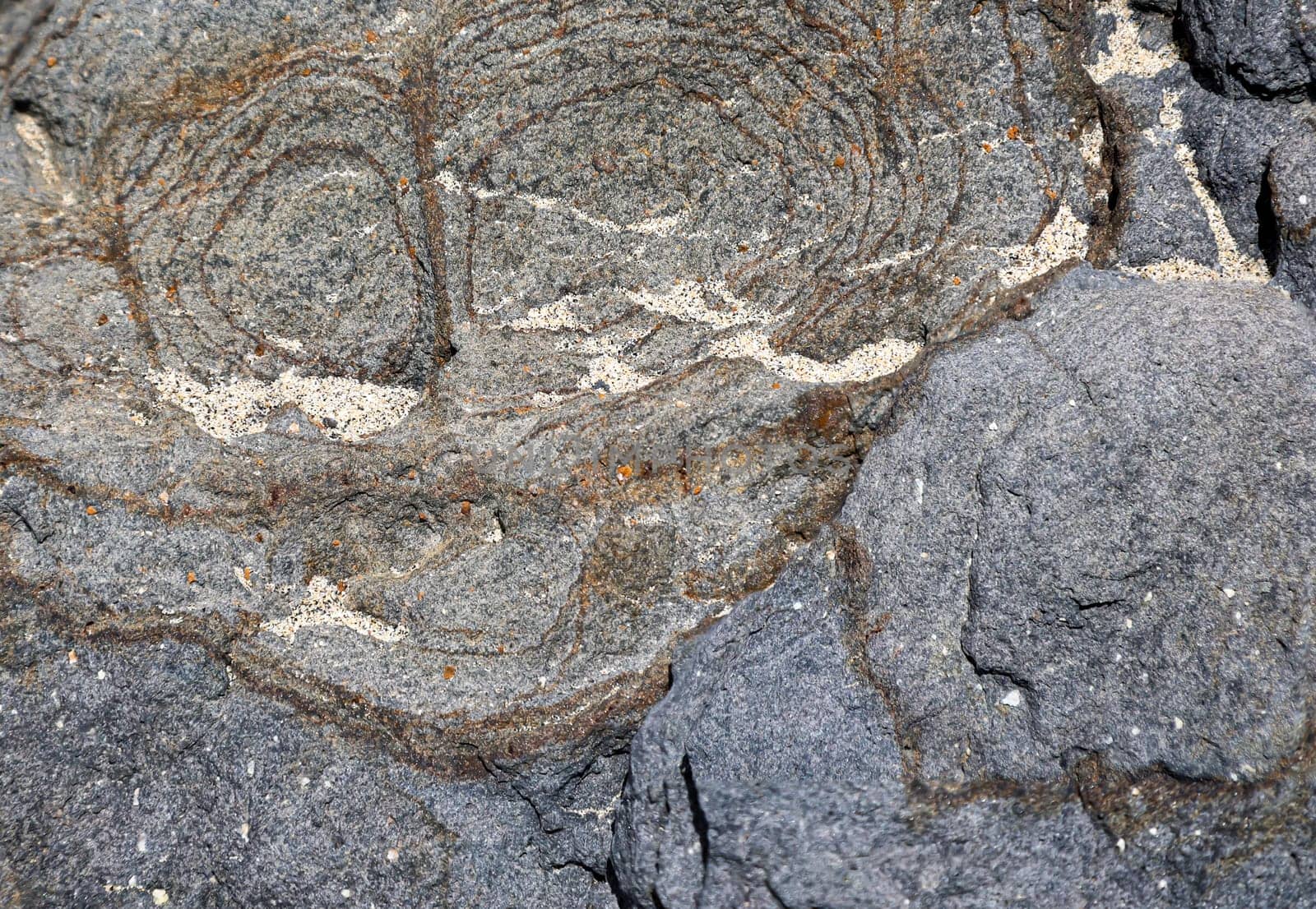 A texture, stone texture of a rough stone.